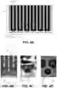 Fig. 07 - Laser assisted metallization process for solar cell fabrication