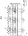 Fig. 06 - Display device