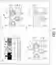 Fig. 02 - Display device