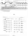Fig. 02 - DISPLAY PANEL AND DISPLAY DEVICE