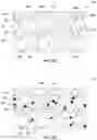 Fig. 08 - Methods of forming electronic devices