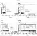Fig. 07 - Resistance random access memory device and method for manufacturing same