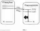 Fig. 07 - ORGANIC ELECTROLUMINESCENT MATERIALS AND DEVICES
