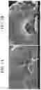 Fig. 04 - NEGATIVE ELECTRODE FOR RECHARGEABLE LITHIUM BATTERY AND RECHARGEABLE LITHIUM BATTERY INCLUDING SAME