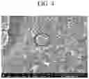 Fig. 05 - NEGATIVE ELECTRODE FOR RECHARGEABLE LITHIUM BATTERY AND RECHARGEABLE LITHIUM BATTERY INCLUDING SAME