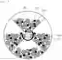 Fig. 05 - METHOD OF PRE-LITHIATING NEGATIVE ELECTRODE FOR ALL-SOLID-STATE SECONDARY BATTERIES AND SECONDARY BATTERY USING THE SAME