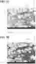 Fig. 06 - Positive electrode layer for all-solid-state battery, manufacturing method of positive electrode layer for all-solid-state battery, and all-solid-state battery