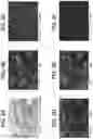 Fig. 07 - Positive electrode layer for all-solid-state battery, manufacturing method of positive electrode layer for all-solid-state battery, and all-solid-state battery