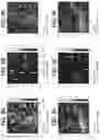 Fig. 08 - Positive electrode layer for all-solid-state battery, manufacturing method of positive electrode layer for all-solid-state battery, and all-solid-state battery