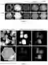 Fig. 03 - MOF-SULFUR MATERIALS AND COMPOSITE MATERIALS, METHODS OF MAKING SAME, AND USES THEREOF