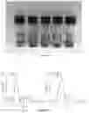 Fig. 09 - MOF-SULFUR MATERIALS AND COMPOSITE MATERIALS, METHODS OF MAKING SAME, AND USES THEREOF