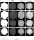 Fig. 14 - MOF-SULFUR MATERIALS AND COMPOSITE MATERIALS, METHODS OF MAKING SAME, AND USES THEREOF