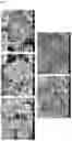 Fig. 02 - Electrode And Secondary Battery Including Same