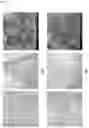 Fig. 06 - Electrode And Secondary Battery Including Same
