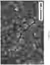 Fig. 08 - Method of manufacturing solid oxide fuel cell including multi-layered electrolyte layer using calendering process
