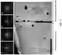 Fig. 13 - Method of manufacturing solid oxide fuel cell including multi-layered electrolyte layer using calendering process