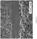 Fig. 17 - Method of manufacturing solid oxide fuel cell including multi-layered electrolyte layer using calendering process