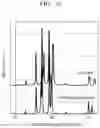 Fig. 10 - Oxide, method of preparing the same, solid electrolyte including the oxide, and electrochemical device including the oxide