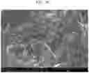 Fig. 18 - Oxide, method of preparing the same, solid electrolyte including the oxide, and electrochemical device including the oxide