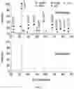 Fig. 03 - Solid-State Electrolytes Based on Lithium Halides for All-Solid-State Lithium-ion Battery Operating at Elevated Temperatures
