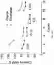 Fig. 13 - Solid-State Electrolytes Based on Lithium Halides for All-Solid-State Lithium-ion Battery Operating at Elevated Temperatures