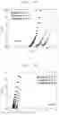 Fig. 05 - Polymer electrolyte and method of preparing same