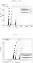 Fig. 06 - Polymer electrolyte and method of preparing same