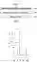 Fig. 02 - Polymer electrolyte and method of preparing same