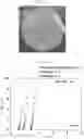Fig. 04 - Polymer electrolyte and method of preparing same
