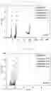 Fig. 06 - Polymer electrolyte and method of preparing same