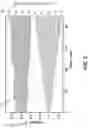 Fig. 07 - Layered structure for solid-state batteries and process of forming the same