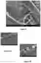Fig. 07 - Battery with shear thickening, impact resistant electrolytes