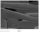 Fig. 03 - NON-WOVEN FABRIC SEPARATION MEMBRANE AND PREPARATION METHOD AND USE THEREOF