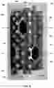 Fig. 06 - Waveguide switch with isolation posts