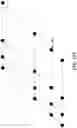 Fig. 19 - Electromagnetic dielectric structure adhered to a substrate and methods of making the same