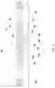 Fig. 09 - ANTENNA APPARATUS
