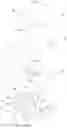 Fig. 03 - Data signal transmission connector