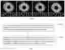 Fig. 04 - RADIALLY POLARIZED OPTICAL PARAMETRIC AMPLIFIER INSENSITIVE TO POLARIZATION AND AMPLIFICATION METHOD THEREOF