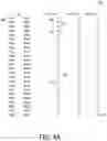 Fig. 09 - Patterns for balanced stator windings in electric motor