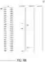 Fig. 10 - Patterns for balanced stator windings in electric motor