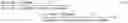Fig. 13 - Wideband Doherty power amplifier