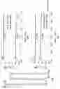 Fig. 43 - Power amplifiers