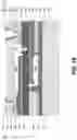 Fig. 24 - Film bulk acoustic resonator structure and fabricating method
