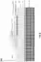 Fig. 09 - FBAR structure having single crystalline piezoelectric layer and fabricating method thereof