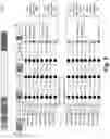 Fig. 08 - Hierarchical statistically multiplexed counters and a method thereof