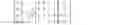 Fig. 05 - Radio frequency front-end