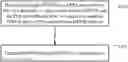Fig. 01 - INFORMATION TRANSMISSION METHOD, NETWORK SIDE DEVICE AND TERMINAL DEVICE