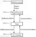 Fig. 01 - Transfer learning for radio resource management