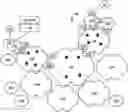 Fig. 01 - Filtering topologies for path computation in massively scaled networks