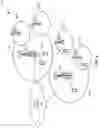 Fig. 05 - Filtering ethernet device source addresses for loop avoidance